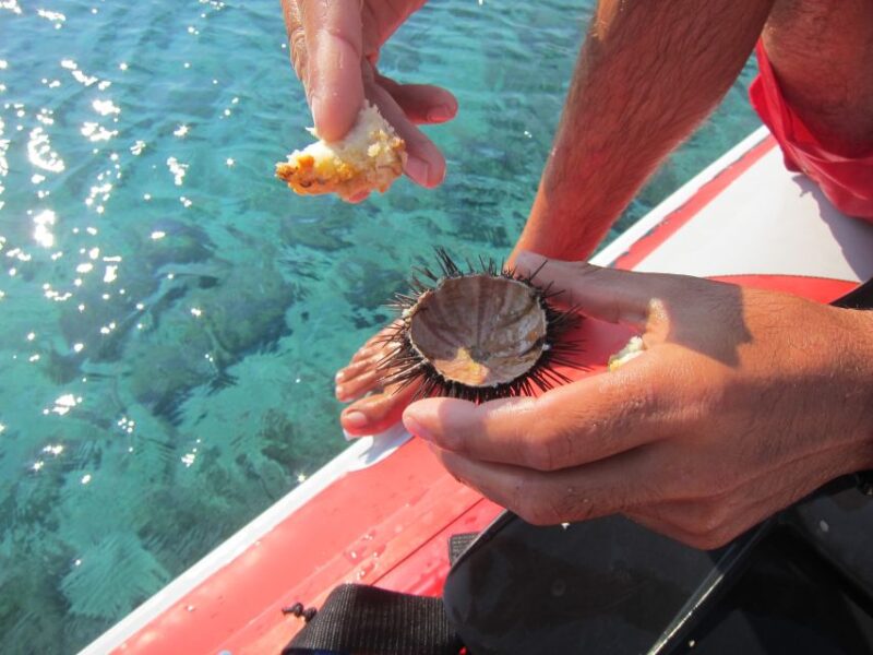 Mykonos: Private Boat Trip and Snorkeling Sea Safari - Key Points