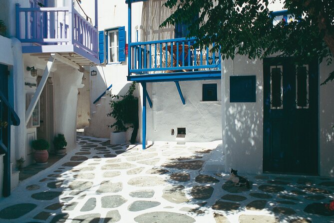 Mykonos Private Island Tour - Relaxing at Kalafatis Beach