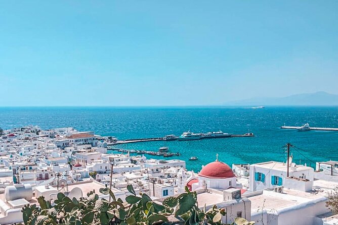 Mykonos Private Tour | Fully Customizable with Pickup - Explore Mykonos with a Fully Customizable Private Tour