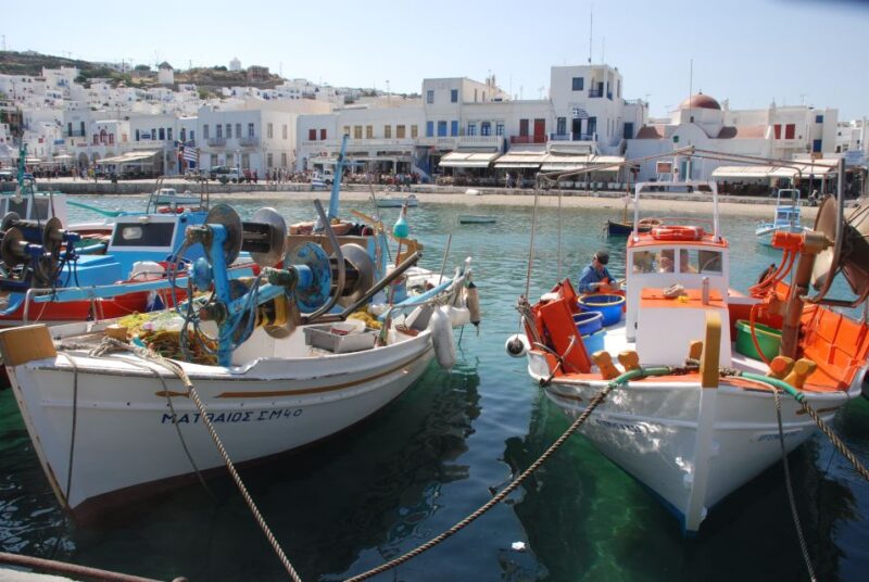 Mykonos Shore Excursion: City & Island Tour - Who Will Appreciate This Tour