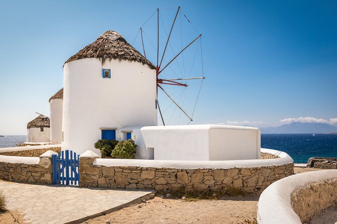 Mykonos Shore Excursion: Elia Beach & Town Exploration - Flexibility and Customer Support