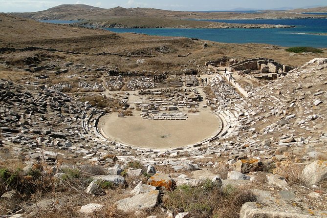 Mykonos Shore Excursion: Private Tour to Delos Island - The Iconic Avenue of Lions and the Sacred Lake