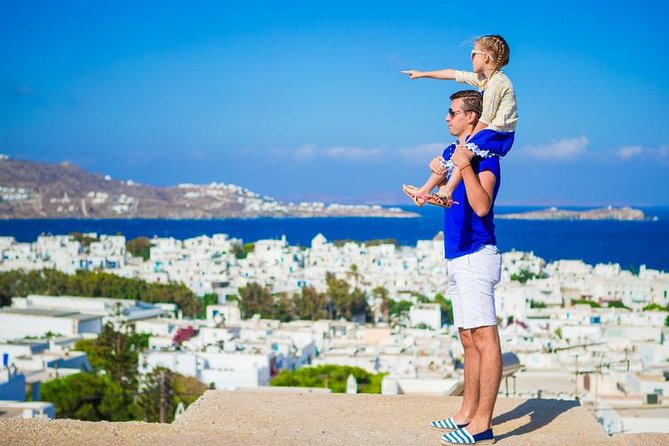 Mykonos Town and Island Half-Day Tour - The Experience of the Guide and Group Dynamics