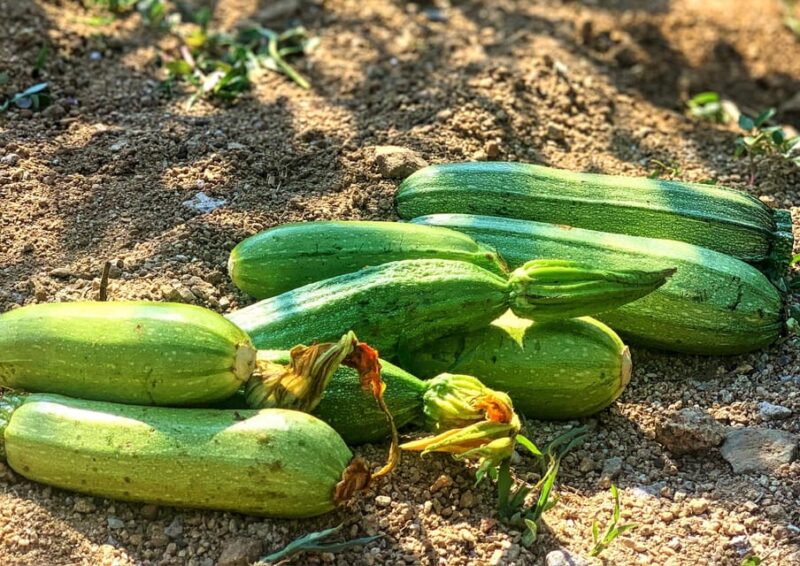 Mykonos: Traditional Cooking Class with the Locals - Menu and Dietary Flexibility