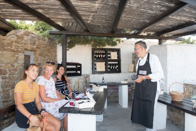 Mykonos: Wine Tasting at a Mykonian Farm - Discover the Charm of a Mykonian Farm and Greek Wines