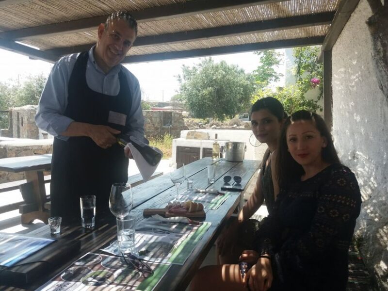 Mykonos: Wine Tasting at a Mykonian Farm - From Hotel Pickup to Scenic Drive on the Island