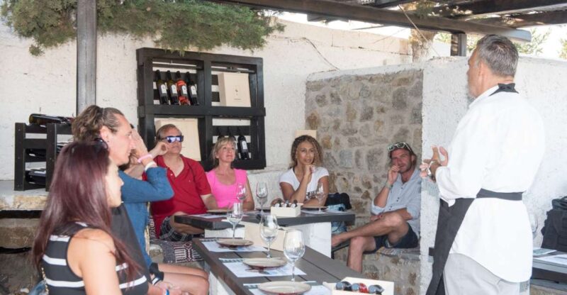 Mykonos: Wine Tasting at a Mykonian Farm - Considerations for Remote Locations and Extra Charges