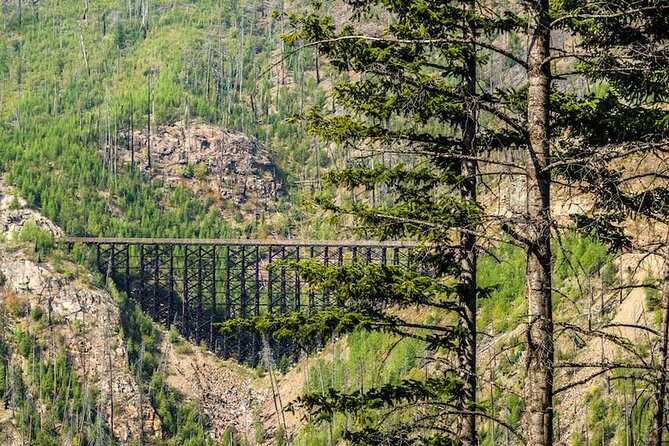 Myra Canyon Guided E-Bike Tour - Comfortable E-Bikes and Convenient Transportation