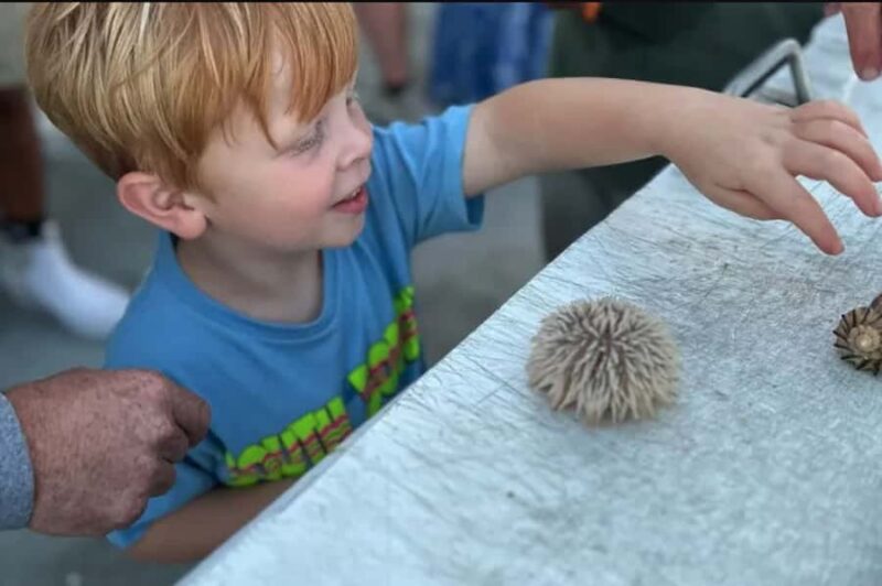 Myrtle Beach: Dolphin & Sealife Cruise, Great For All Ages! - Exploring the Scenic Inlet and Ocean Route