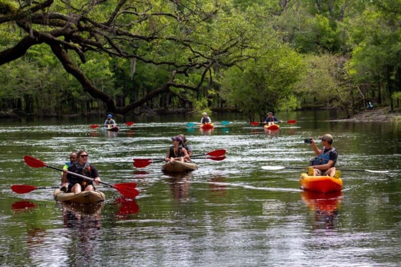 Myrtle Beach: Waccamaw River Kayak Island Tour - Discover the Serenity of the Waccamaw River Kayak Island Tour in Myrtle Beach