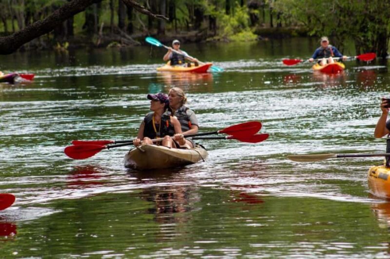 Myrtle Beach: Waccamaw River Kayak Island Tour - Scenic Paddle along the Waccamaw River