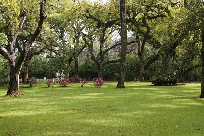 Myrtles Plantation Daytime Historical Tour - The Haunted Evening Tours on Fridays and Saturdays