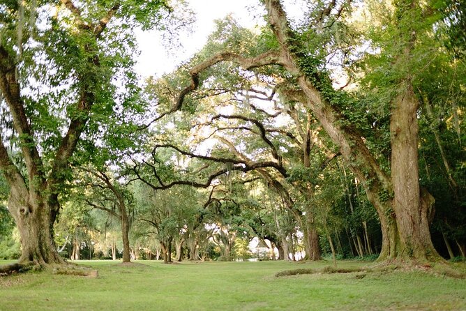 Myrtles Plantation Daytime Historical Tour - The Value of the Myrtles Plantation Daytime Tour