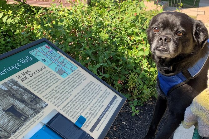 Mysteries on the Move: Scavenger Hunt in Boston - The Role of the Smartphone and Clue Collection