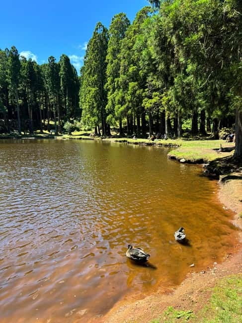 Mystery Tour of Terceira Island - Discovering Hidden Places on Terceira Island