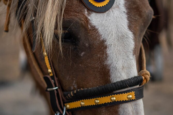 Mystical Sunset Horseback Ride in Meteora: 1-Hour Adventure - What’s Included in the Horseback Ride