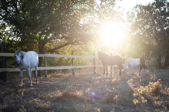 Mystical Sunset Horseback Ride in Meteora: 1-Hour Adventure - Meeting Point and Practical Details
