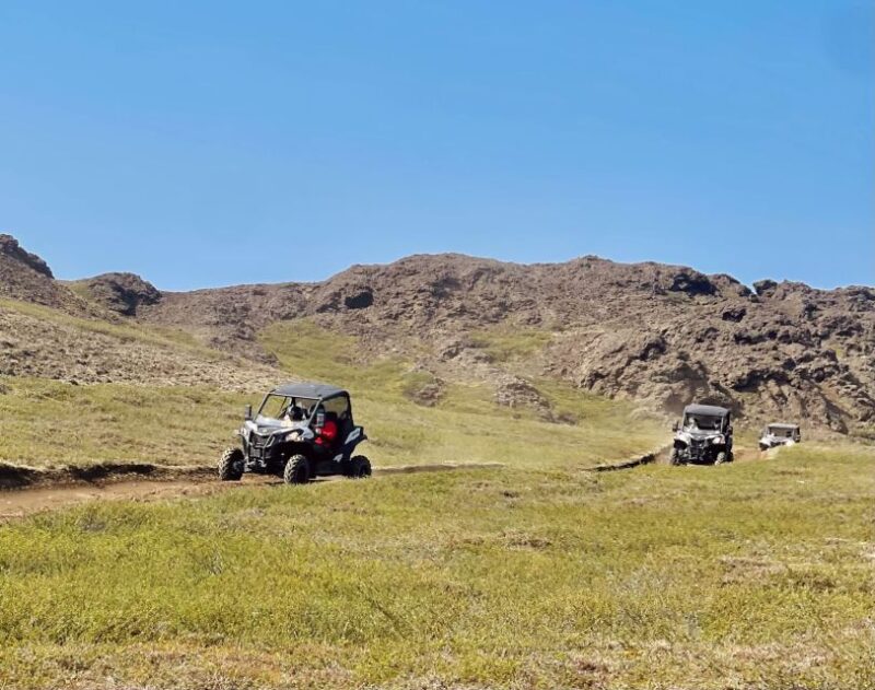 Mývatn: Lake Mývatn ATV Guided Safari Experience - The Cost and Value of the ATV Safari