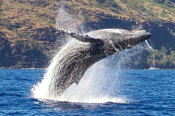 N Pali Coast Zodiac Raft Expedition and Snorkeling on Kauai - Visiting Sea Caves and Waterfalls