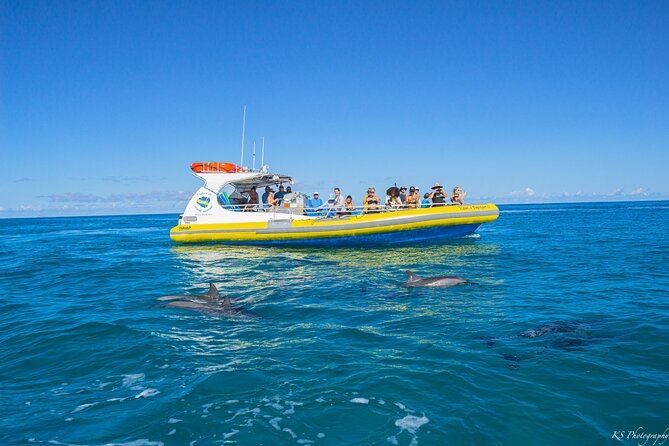 Na Pali Coast Super Raft Adventure with Snorkel - The Crew and Guides: Knowledgeable and Fun
