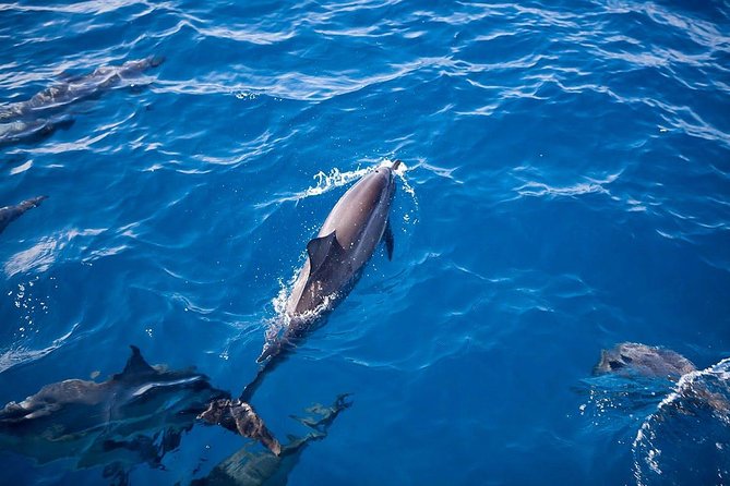 Na Pali Sunset & Sightsee Boat Tour - The Crew: Knowledgeable and Friendly Guides