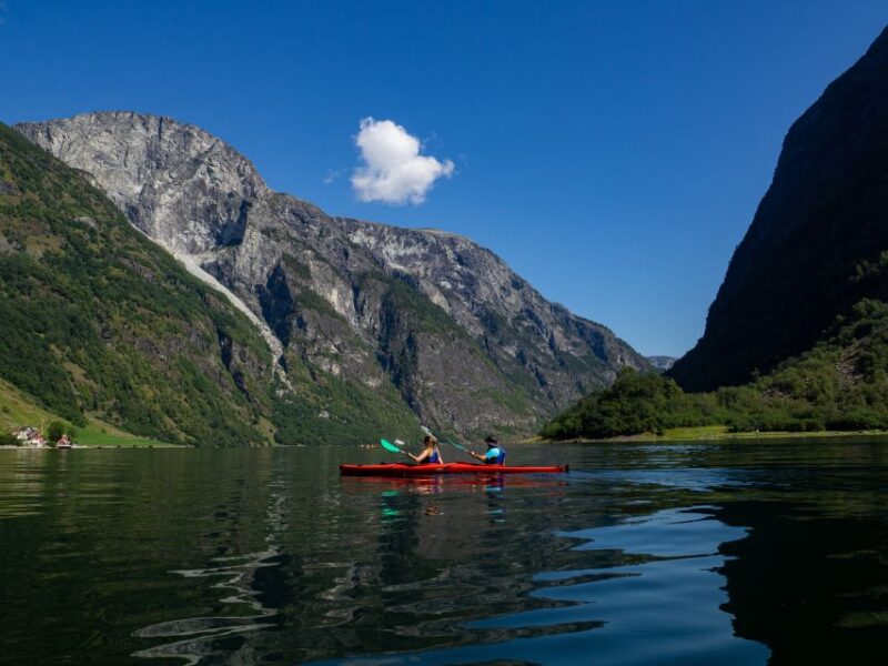 Nærøyfjord Full-Day Guided Kayaking Trip - The Role of Guides and Their Impact on the Experience