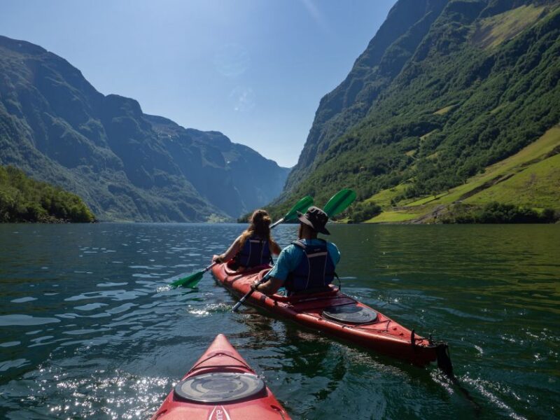 Nærøyfjord Full-Day Guided Kayaking Trip - The Feedback from Past Participants