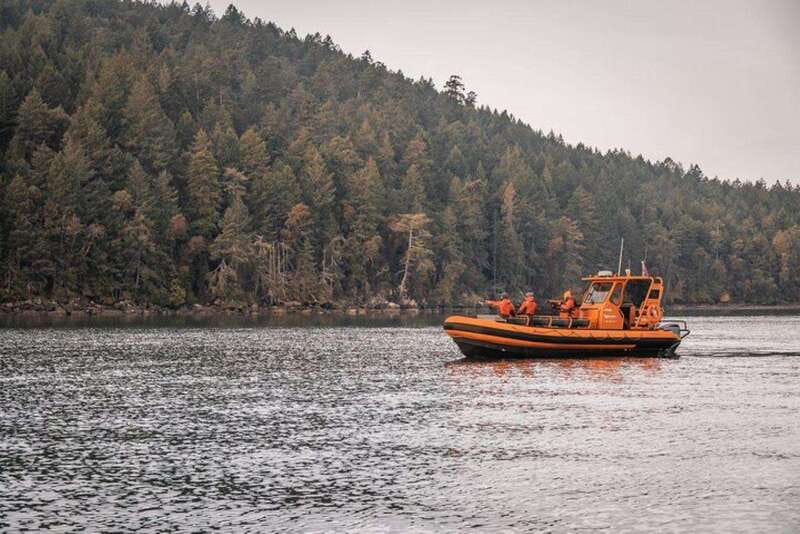 Nanaimo: Whale Watching Open Boat Tour - Discover the Excitement of Nanaimos Whale Watching Open Boat Tour