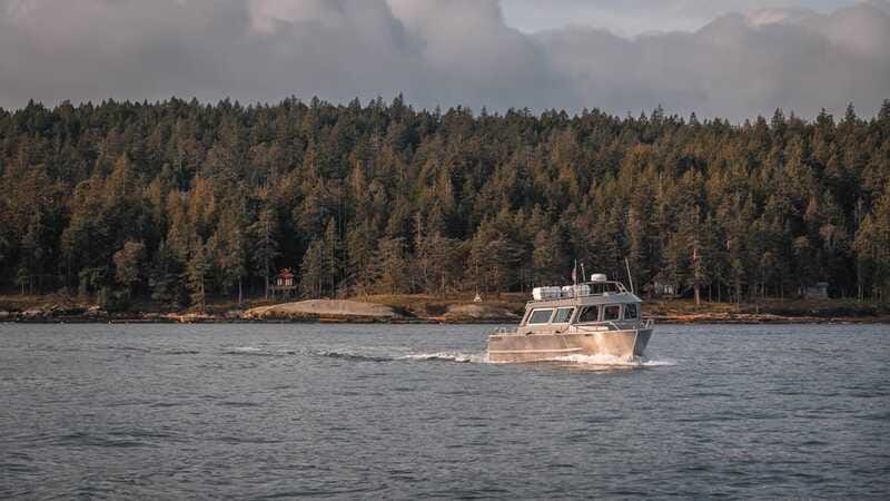 Nanaimo: Whale Watching Semi-Covered Boat Tour - Whale Encounters: What You Can Expect