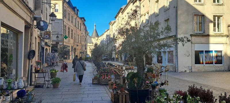 NANCY WITHOUT DETOURS: TOUR WITH A PROFESSIONAL GUIDE - The Guide: Knowledge, Passion, and Personalization