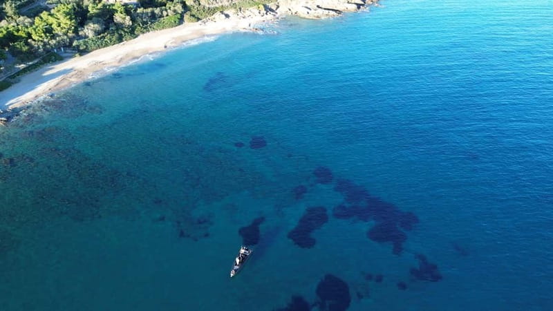 Naousa: Rineia, Delos, & Naxos Day Trip by Boat with Drinks - Scenic Voyage to Delos: The Sacred Island of Antiquity