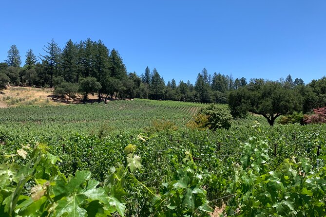 Napa & Sonoma Wine Tour | 6-8hr Private Fully Customized.*XL SUV - Exploring Napa Valley’s Top Wineries