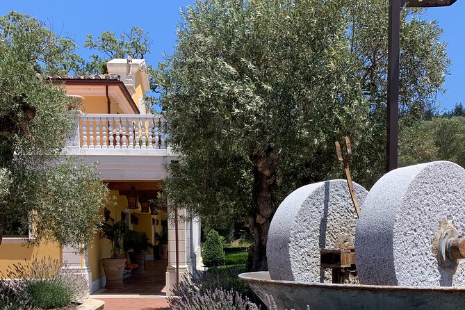 Napa & Sonoma Wine Tour | 6-8hr Private Fully Customized.*XL SUV - The Experience of Visiting Wineries Without Tastings