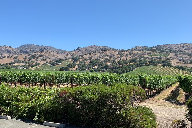 Napa & Sonoma Wine Tour | 6-8hr Private Fully Customized.*XL SUV - The Flexibility of Customizing Your Wine Day