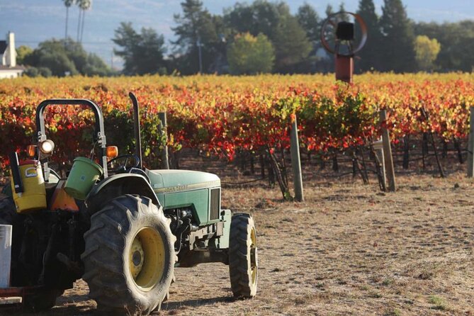 Napa Valley Boutique Wine Tour 6 Hour Private SUV Good for 4 Pax - Visiting OBrien Estate Winery in Oak Knoll District