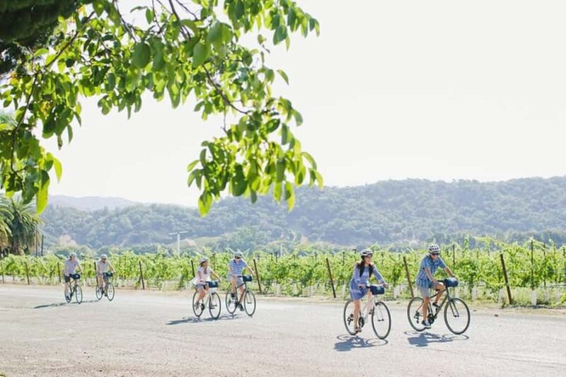 Napa Valley: Guided Winery E-Bike Tour - Key Points