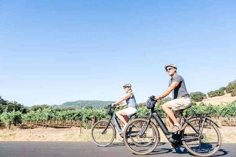 Napa Valley: Guided Winery E-Bike Tour - Who Can Join and Practical Considerations