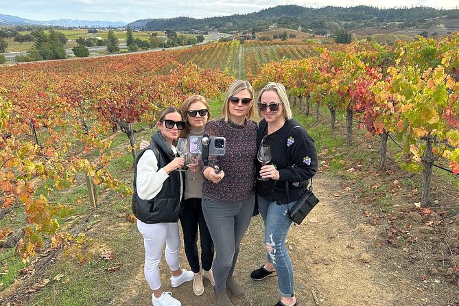 Napa Valley Mountainside Small Group Winery Tour - Key Points