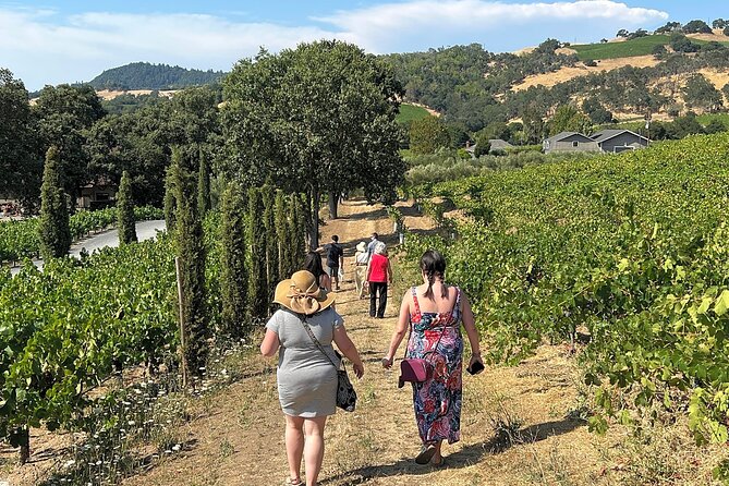 Napa Valley Mountainside Small Group Winery Tour - Insights from a Knowledgeable Guide