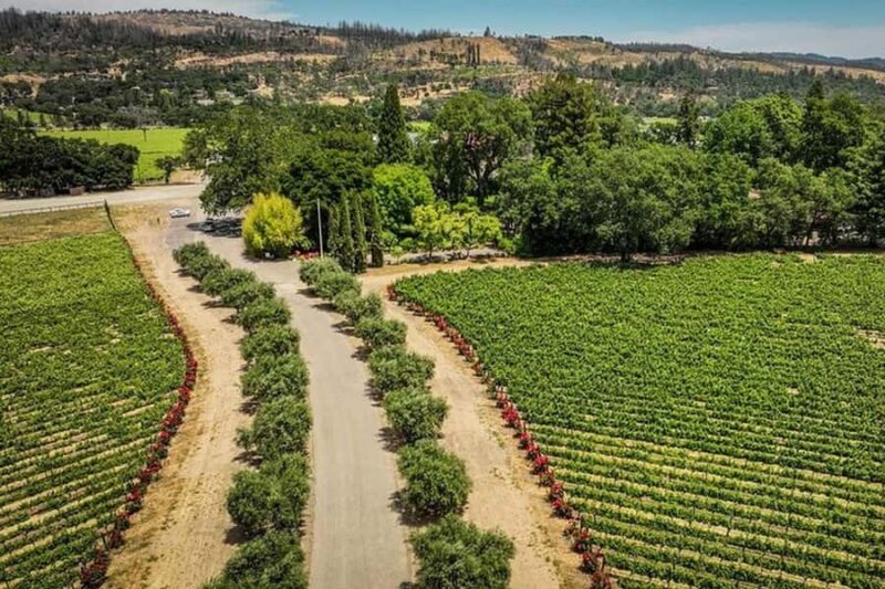 Napa Valley: Scenic E-Bike Tour (No Wineries) - The Town of Calistoga and Its Free Time