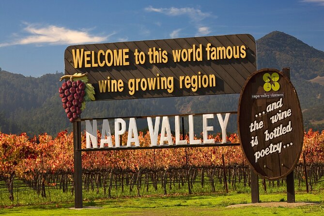Napa Valley Wine and Food Tasting Tour from San Francisco - Comfortable Transport and Expert Guidance