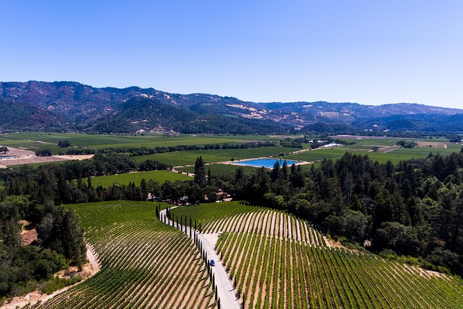 Napa Valley's Best Wine Tour w/ Local Expert - Introduction to the Private Napa Valley Experience