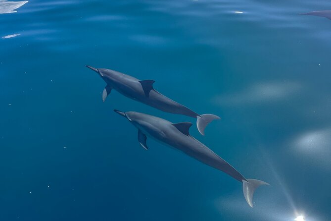 NaPali Boat Tour on the Amelia K - The Guides and Crew’s Expertise