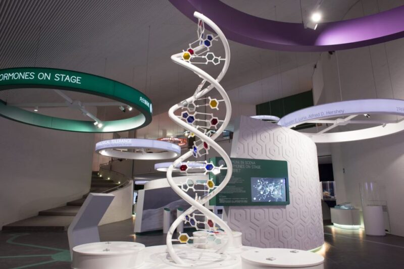 Naples: Città della Scienza Interactive Museum Entry Ticket - Key Points