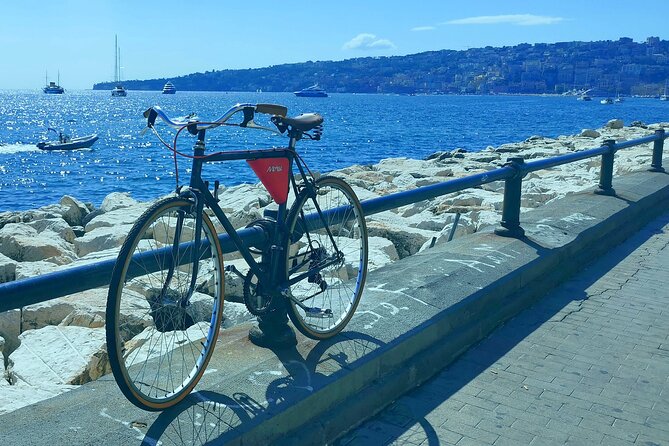 NAPLES DAYLIGHT - Day trip from Naples - Practical Details and Booking Insights