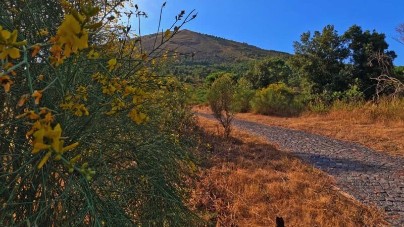Naples: E-bike Tour on Mount Vesuvius with a Cycling Guide - Discover Mount Vesuvius on an E-bike Tour in Campania