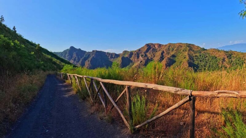 Naples: E-bike Tour on Mount Vesuvius with a Cycling Guide - Key Points