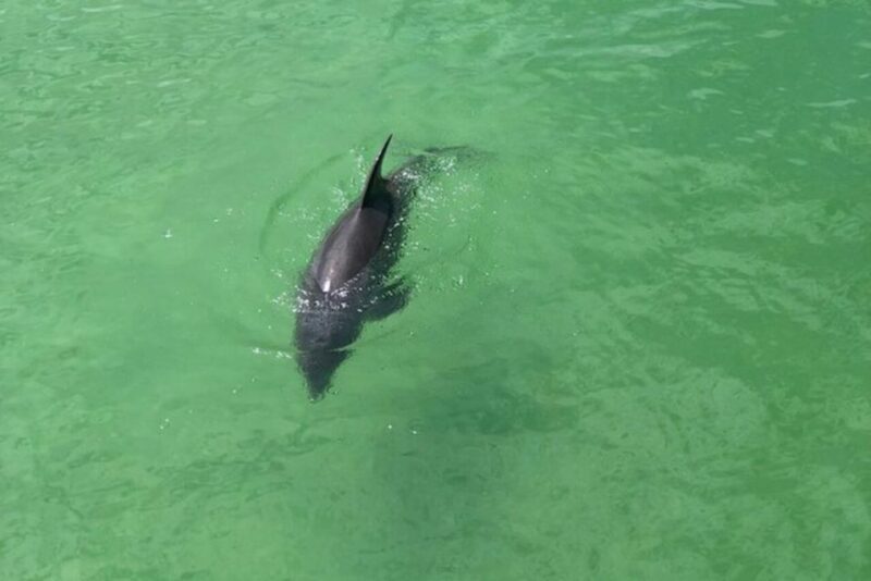 Naples, FL: Group Sightseeing Guided Bike Tour - Key Points