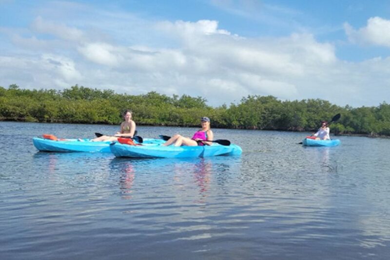 Naples, FL: Guided Standup Paddleboard or Kayak Tour - Key Points
