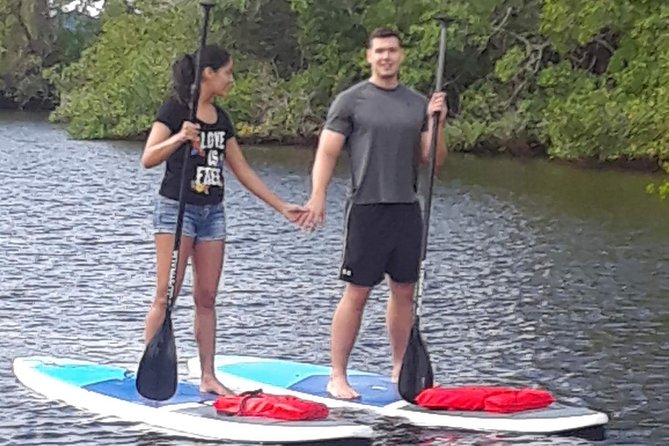 Naples Fl, Paddleboard Mangrove Forest Tour - Convenient Location and Time in Naples